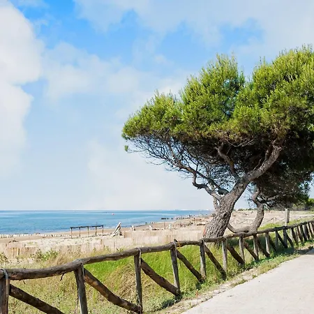 Apartment Comfort And Calm In Near The Sea *