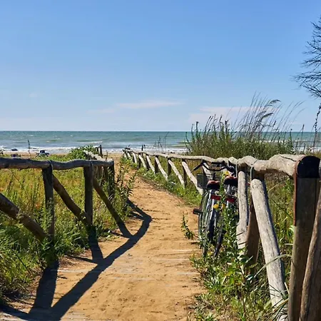 Comfort And Calm In Near The Sea